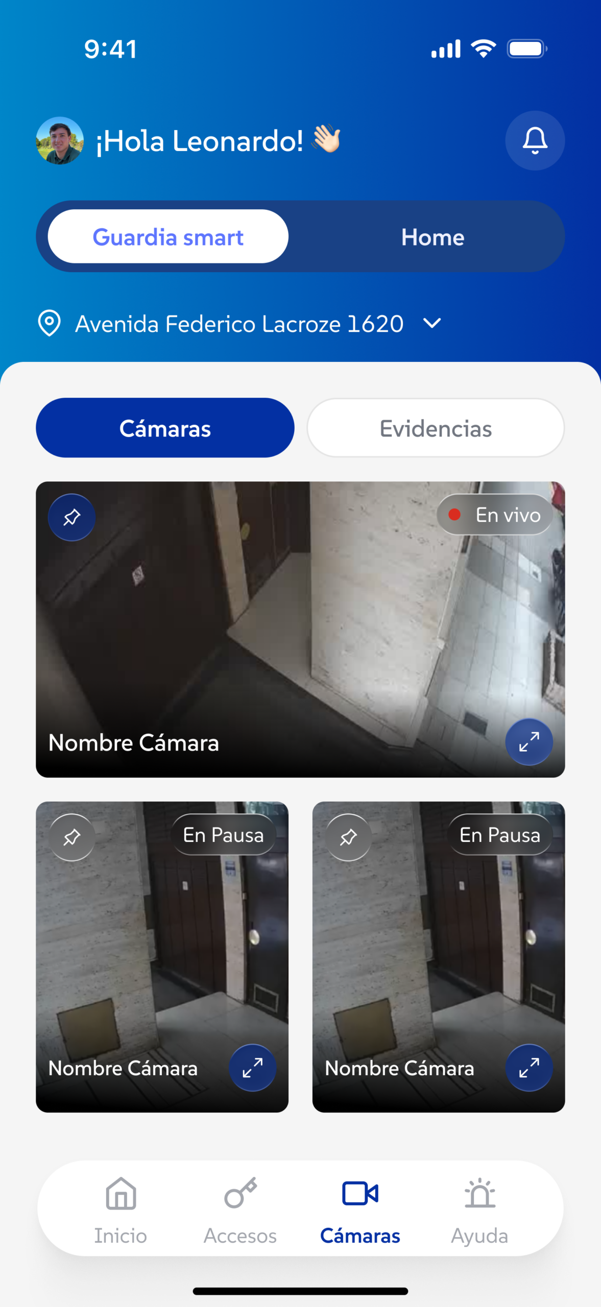 totem de seguridad visualizar camaras